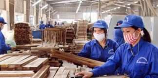 Doanh nghiệp Trung Quốc rót vốn vào ngành gỗ Việt Nam