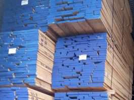 Gỗ Sồi giá bao nhiêu? Bảng giá gỗ Oak tự nhiên chất lượng cao Gỗ sồi giá bao nhiêu