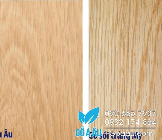 khác biệt giữa gỗ sồi trắng Mỹ và gỗ sồi trắng Châu Âu