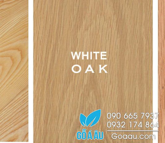 Phân biệt gỗ sồi và gỗ tần bì
