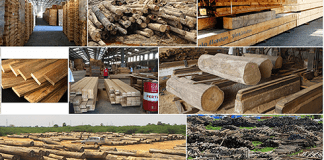 Xuất khẩu gỗ “sáng” nếu đảm bảo nguồn cung “sạch“