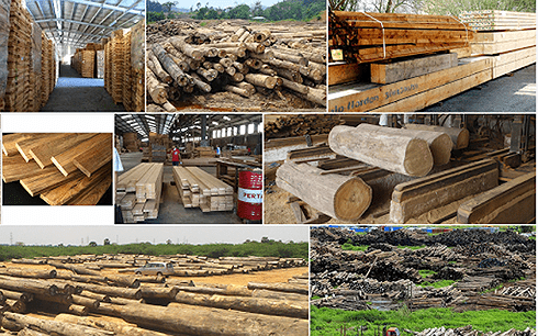 Xuất khẩu gỗ “sáng” nếu đảm bảo nguồn cung “sạch“
