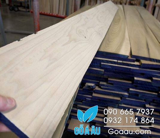gỗ poplar