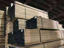 bán gỗ poplar