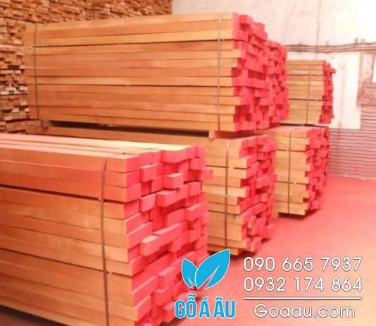 Giá gỗ Dẻ Gai bao nhiêu một m3? Gỗ Dẻ Gai giá sỉ ở đâu? giá gỗ dẻ gai bao nhiêu một m3
