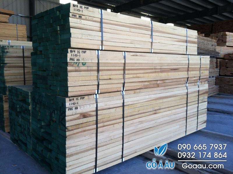 Bảng giá gỗ Bạch Dương - Poplar