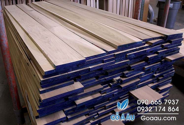 Giá gỗ Poplar - Bảng giá gỗ Bạch Dương