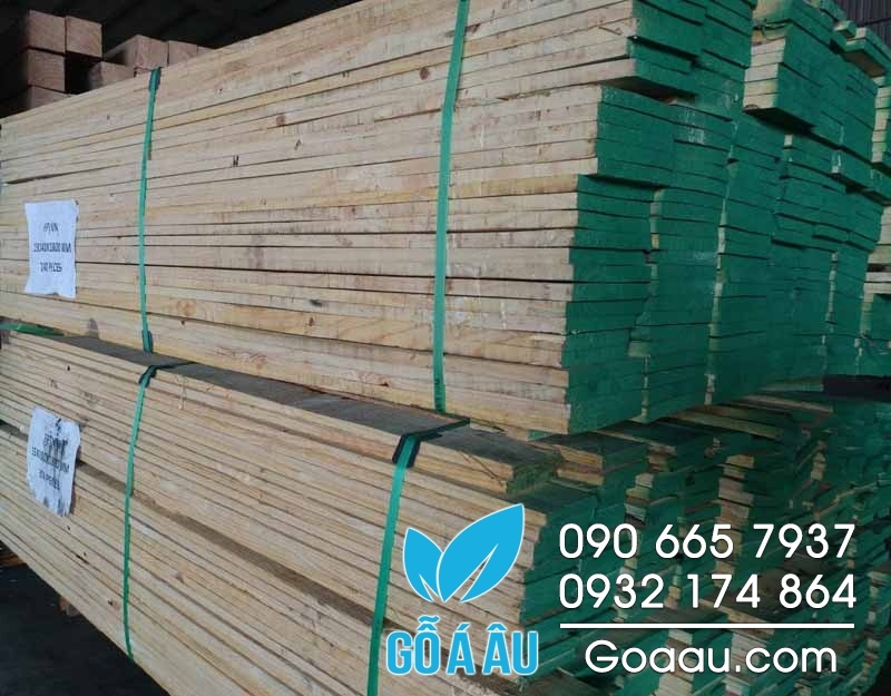 gỗ thông Brazil