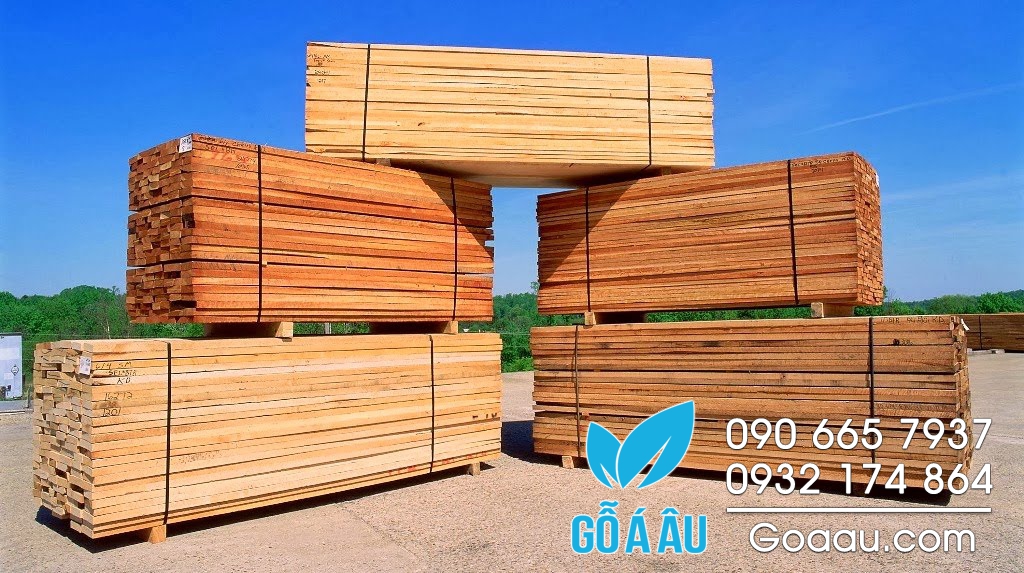 Gỗ tần bì xẻ sấy